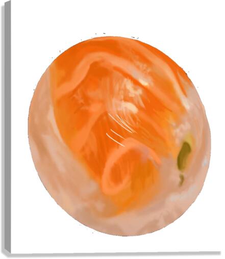 Sushi Canvas Print