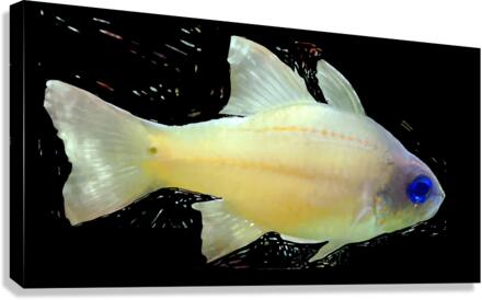 YellowFishCharacter2 Canvas Print