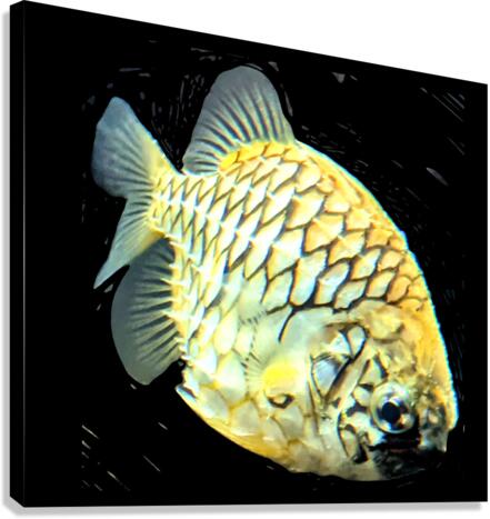 YellowFish2 Canvas Print