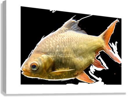 YellowFishCharacter3 Canvas Print