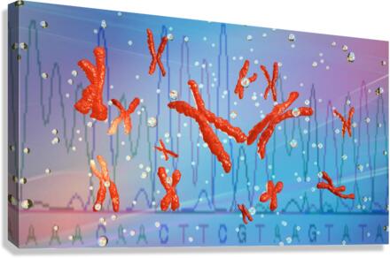 Chromosomes Canvas Print