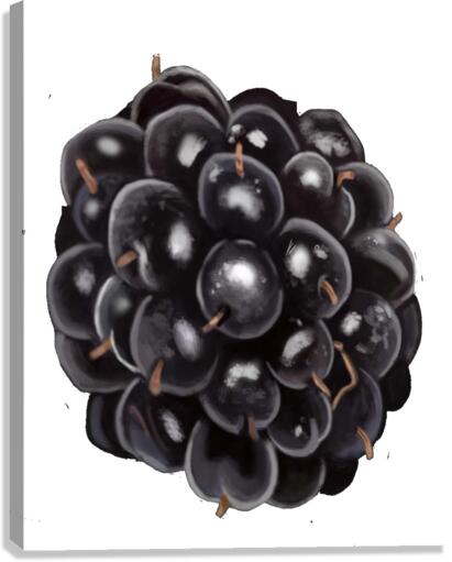 BlackBerry Canvas Print