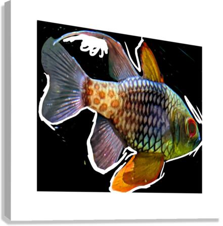 ColoredFish Canvas Print