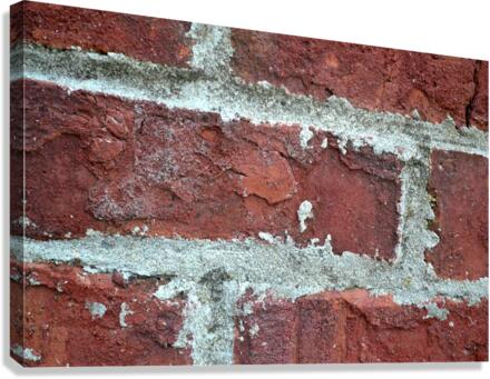 bricks Canvas Print