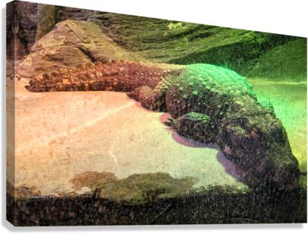 Crocodile Canvas Print