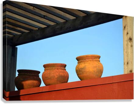 DecorativeVases2 Canvas Print