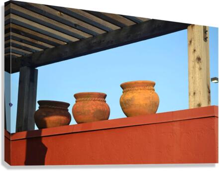 DecorativeVases Canvas Print
