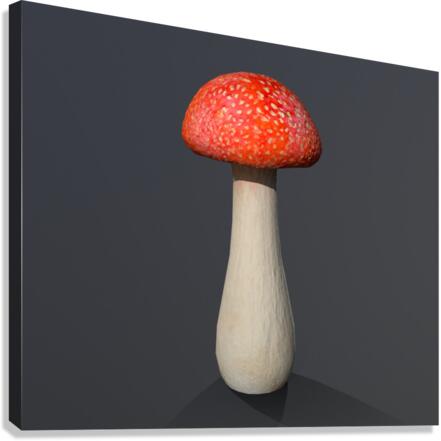 Mushroom1 Canvas Print