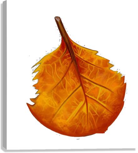 OrangeLeaf Canvas Print