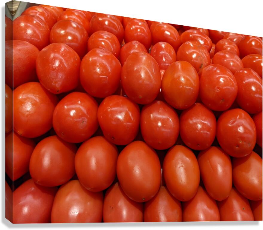 Tomatoes Canvas Print