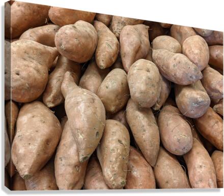 Potatoes Canvas Print