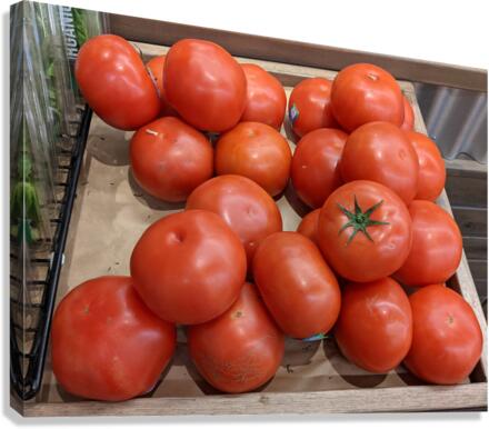 Tomato Canvas Print