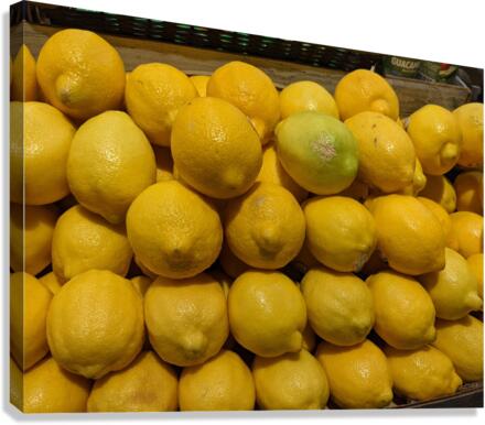 Lemons Canvas Print