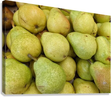 Pears Canvas Print