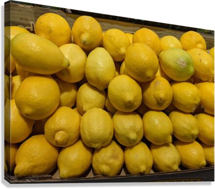 Lemons Canvas Print