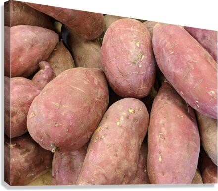 Potatos Canvas Print