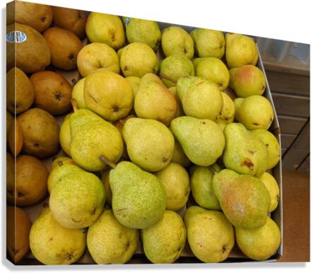 Lemons Canvas Print