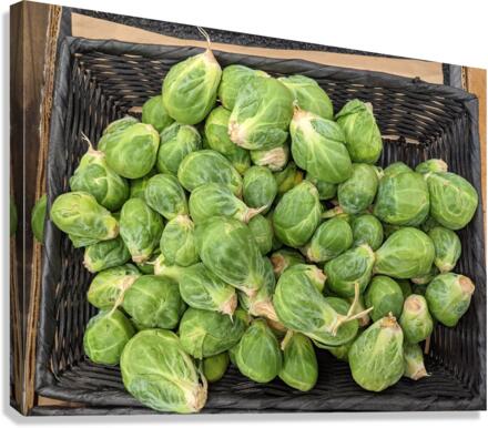 Brussel Sprouts Canvas Print