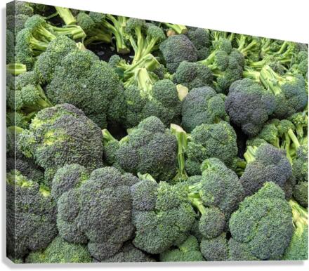 Brocolli Canvas Print