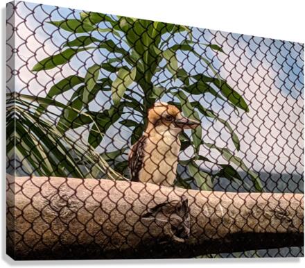 Zoo Canvas Print