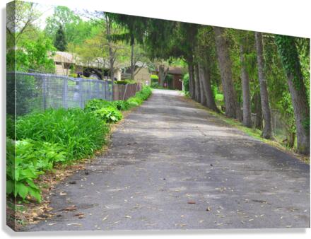 JK06 Canvas Print