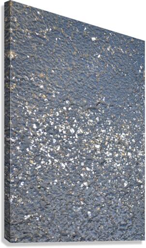 DSC 0129 Canvas Print
