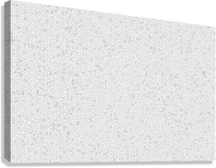 Mosiac Canvas Print