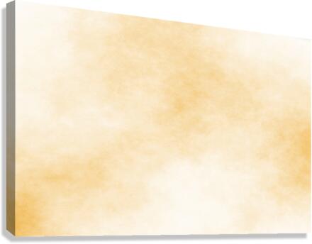 Fog Canvas Print
