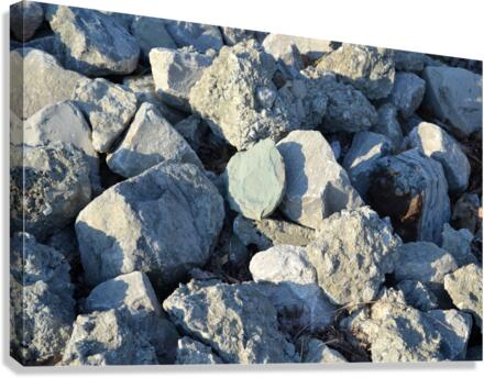 DSC 0049 Canvas Print
