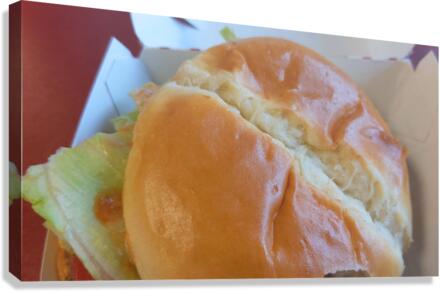 Sandwich4 Canvas Print