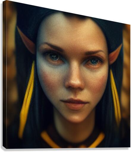 lady2 Canvas Print