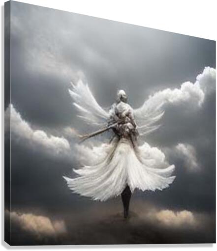 wings4 Canvas Print