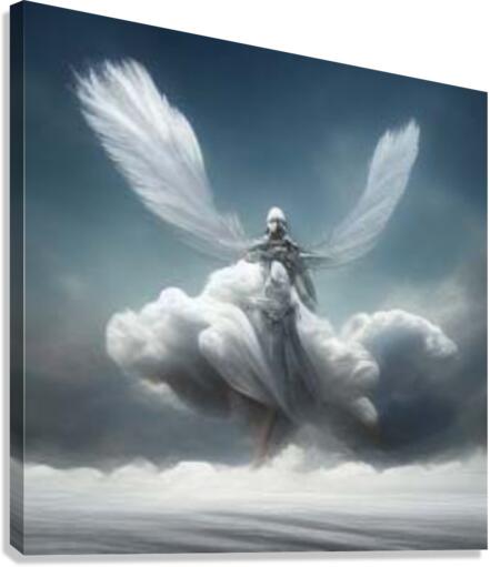 wings2 Canvas Print