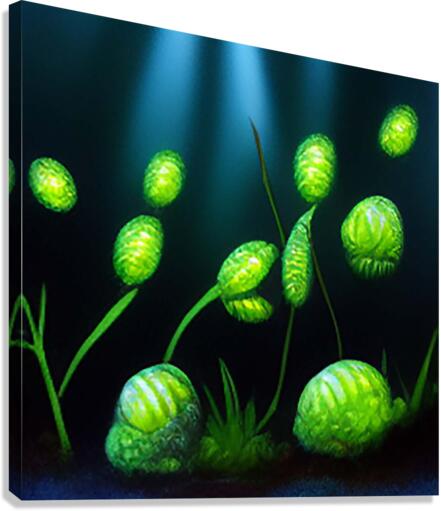 plant2 Canvas Print