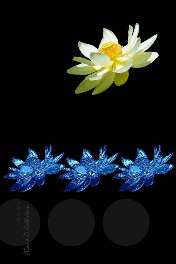 Lotus 1 Print