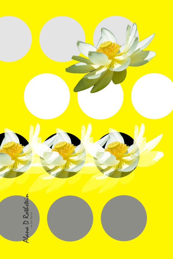 Lotus 2 Print