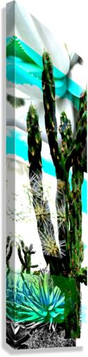 Cactus One Canvas Print