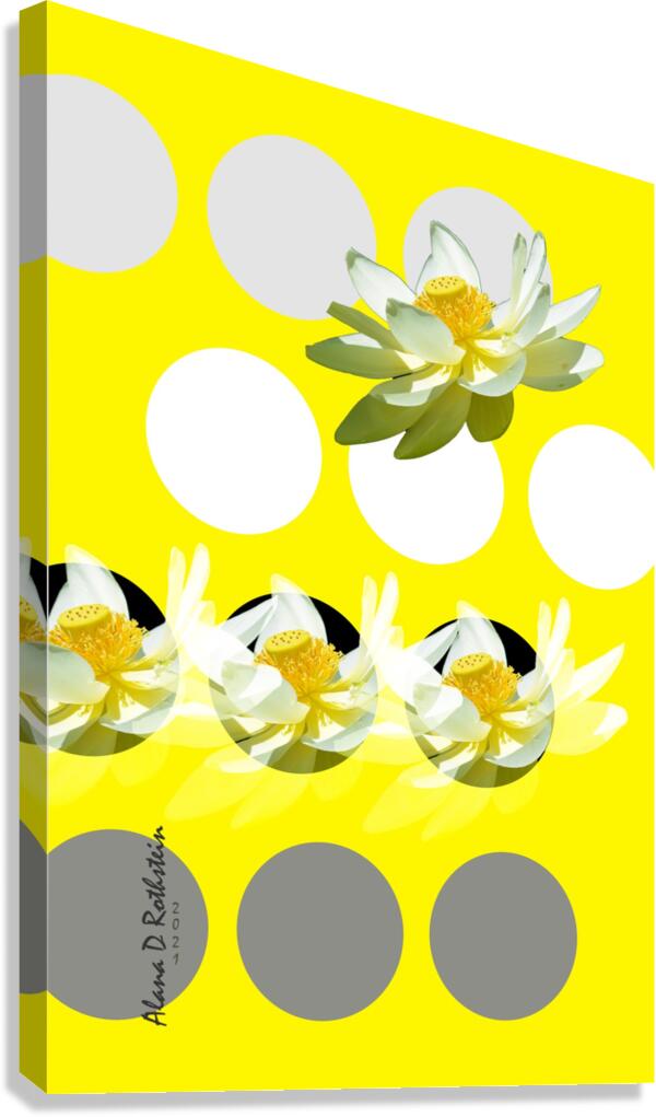 Lotus 2 Canvas Print