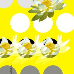 Lotus 2