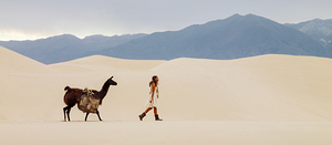 Mojave Llama Panorama