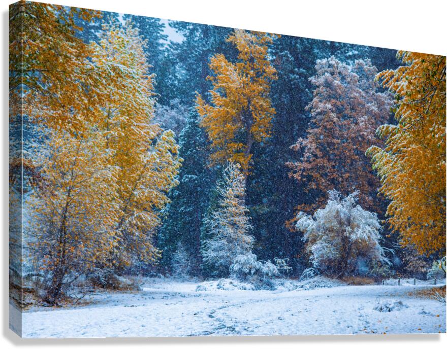 Yosemite Fall Canvas Print
