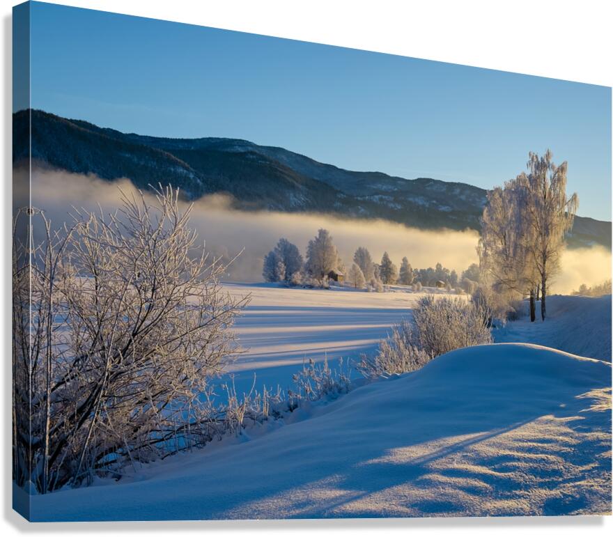 Norway Fresh Snow Canvas Print