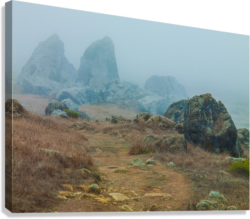Gull Rock Canvas Print