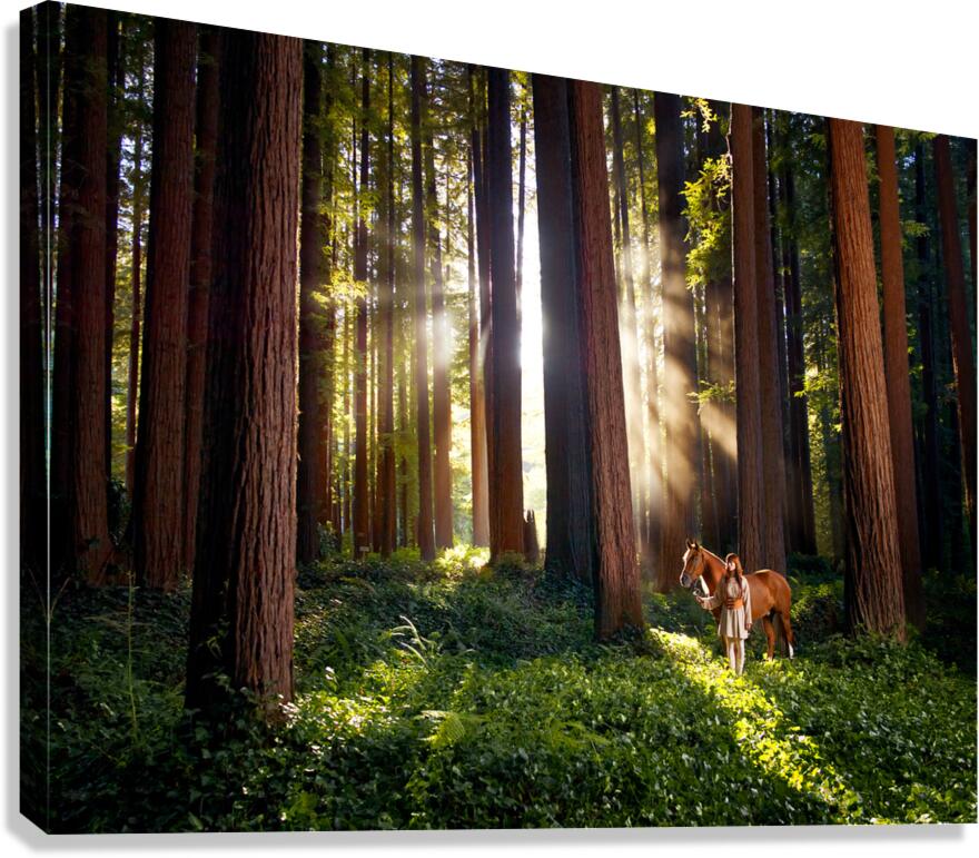 Redwoods Elf I Canvas Print