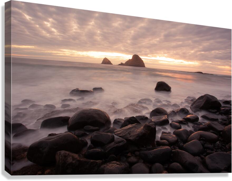Oregon Coast Canvas Print