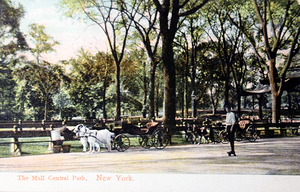 Vintage postcard of people in Central park in 1905