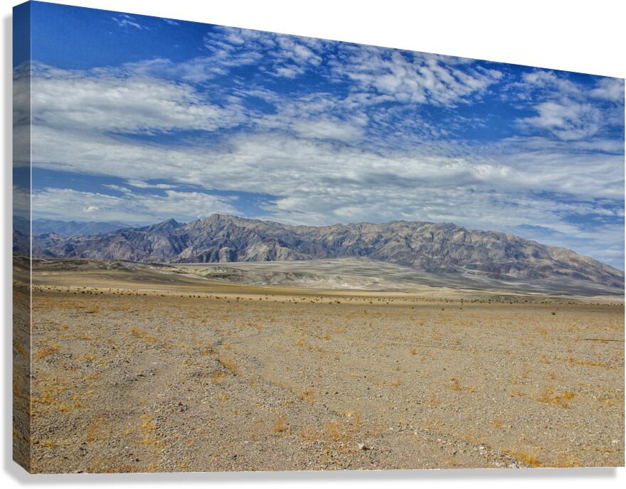 Desert landscape Canvas Print