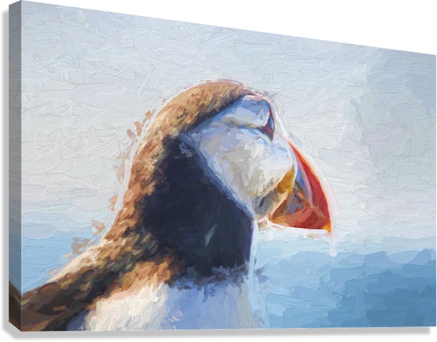 Puffin in close up Canvas Print