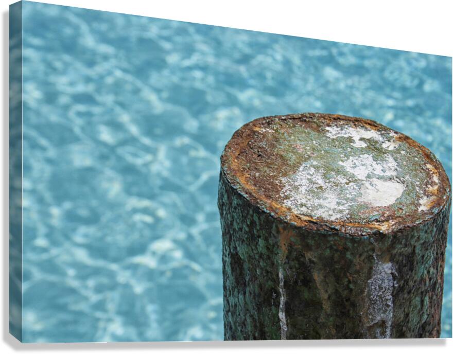 rust on dock Canvas Print