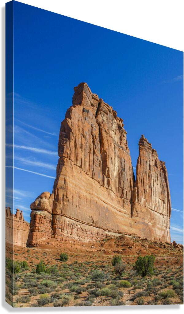 Dome rock Canvas Print